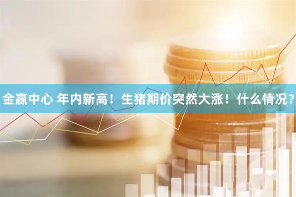 金赢中心 年内新高！生猪期价突然大涨！什么情况？