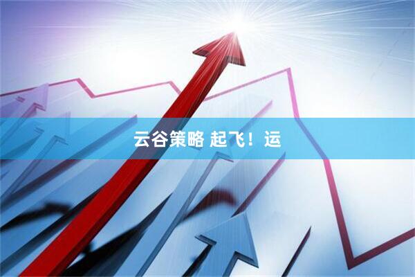 云谷策略 起飞！运